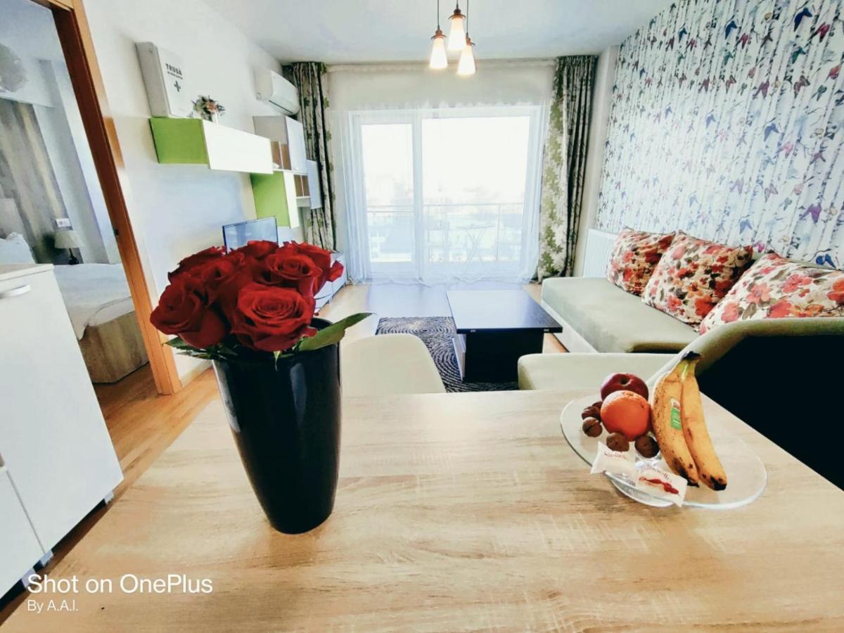 Red Hotel Accommodation クルージュ＝ナポカ エクステリア 写真